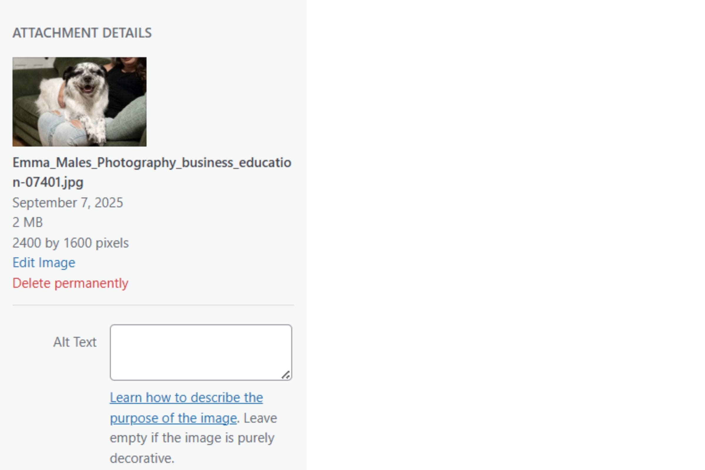 How to Blog as a Photographer