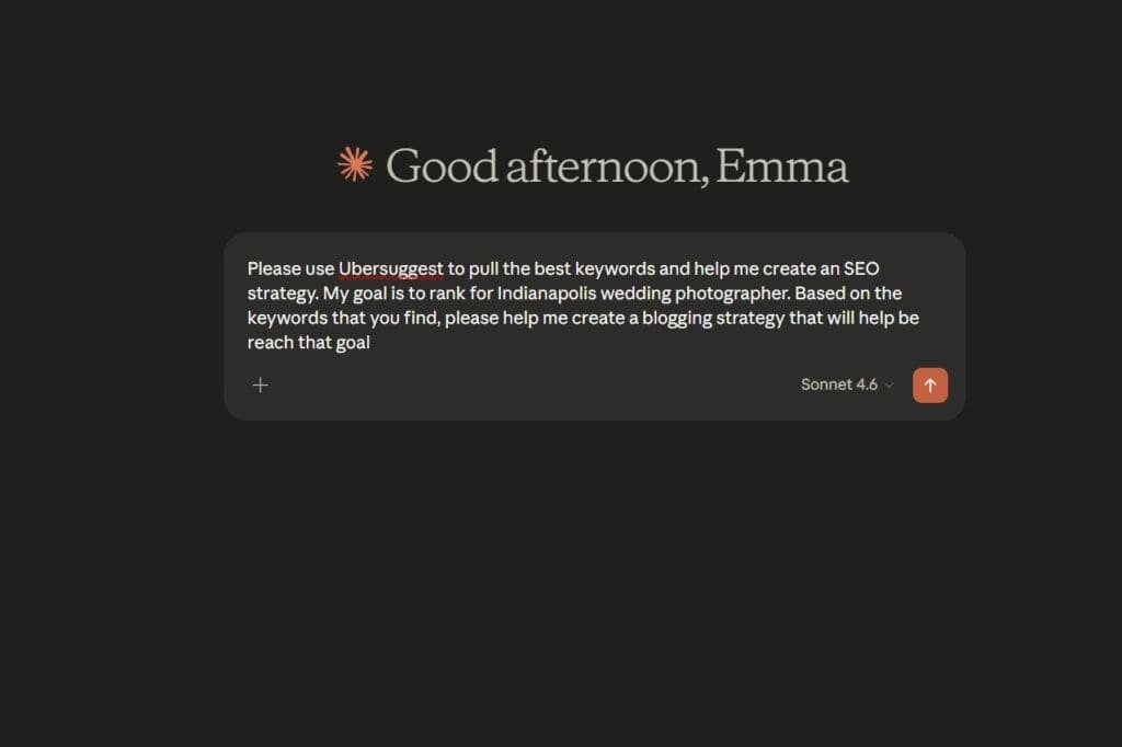 a screenshot of Emma with males marketing studio using claude to write a blog for photographers