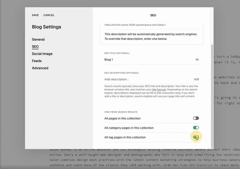 a screenshot showing squarespace seo settings for photography websites 